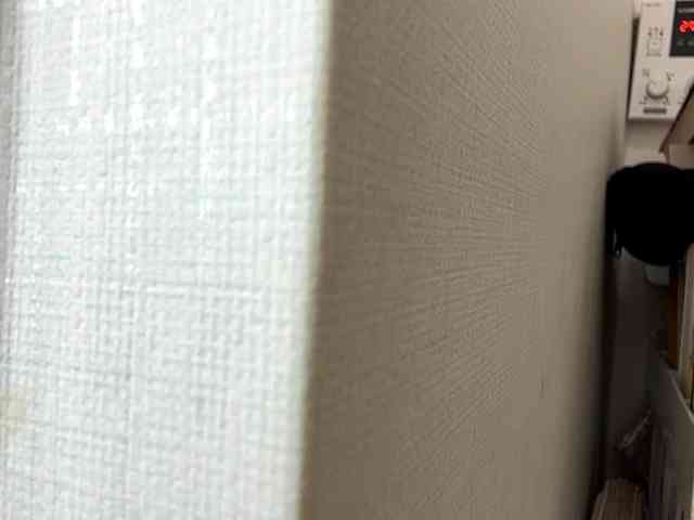EmillyCarte webcam