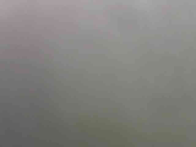 EmillyCarte webcam
