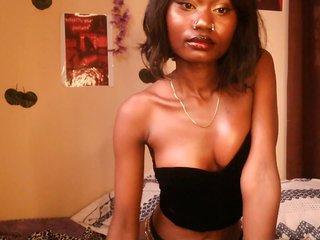 -Mirage's Live Webcam