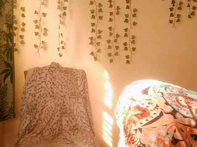 -Mirage webcam
