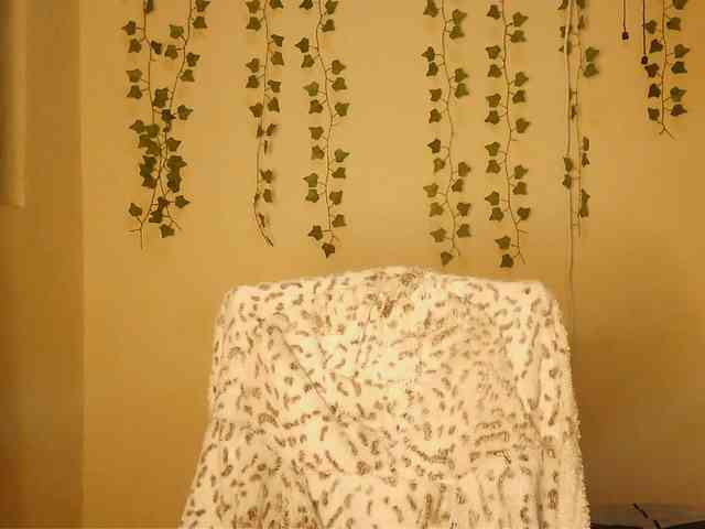 -Mirage webcam