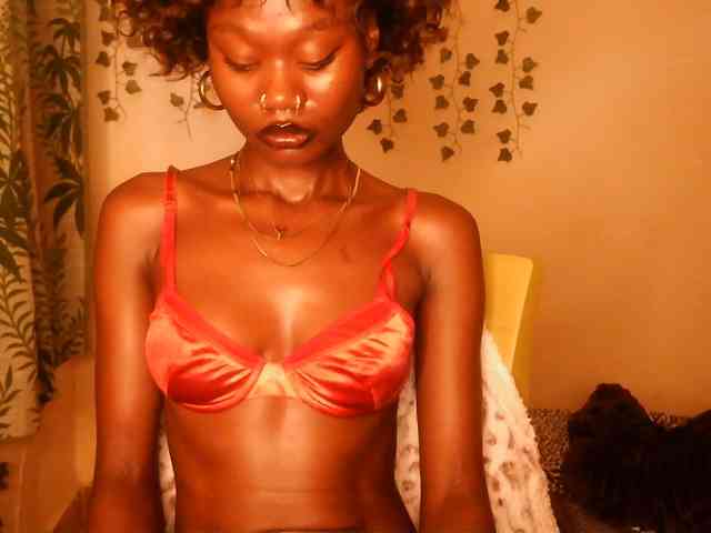 -Mirage webcam