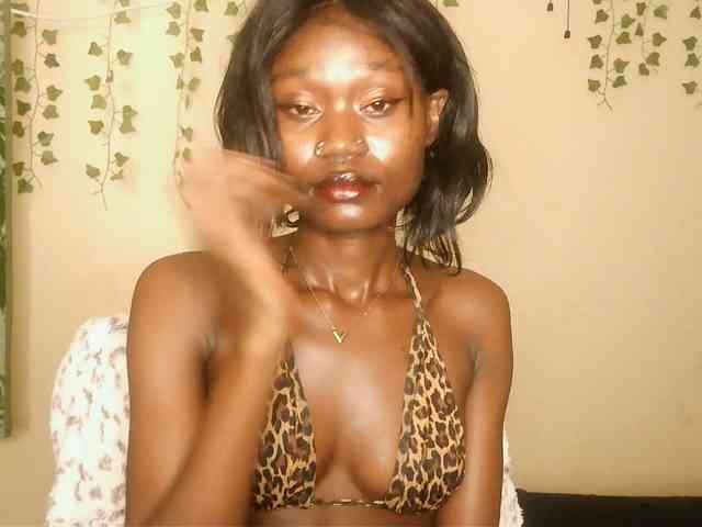 -Mirage webcam