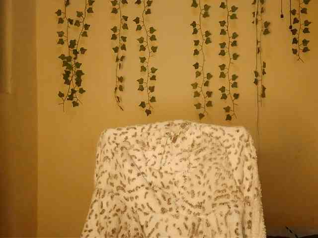 -Mirage webcam