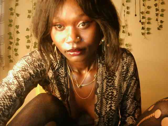 -Mirage webcam
