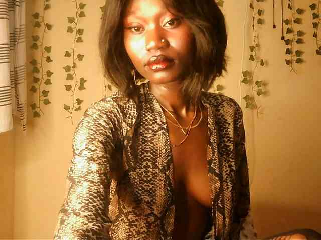 -Mirage webcam