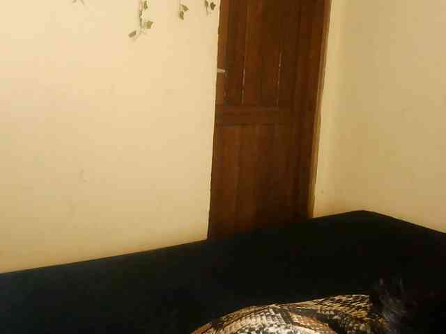 -Mirage webcam