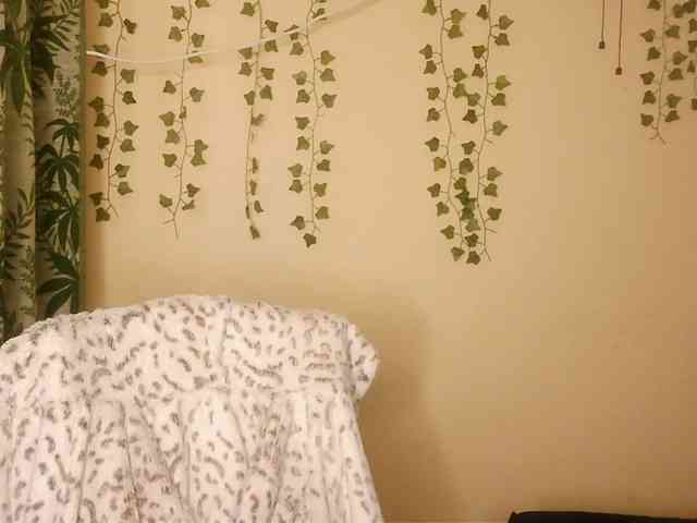 -Mirage webcam
