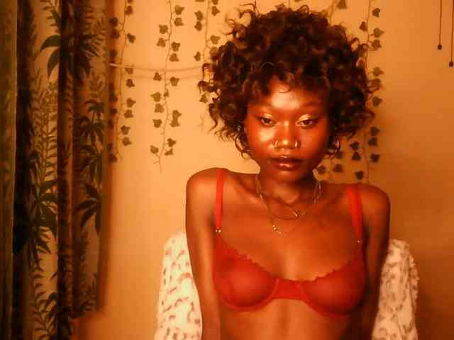 -Mirage webcam