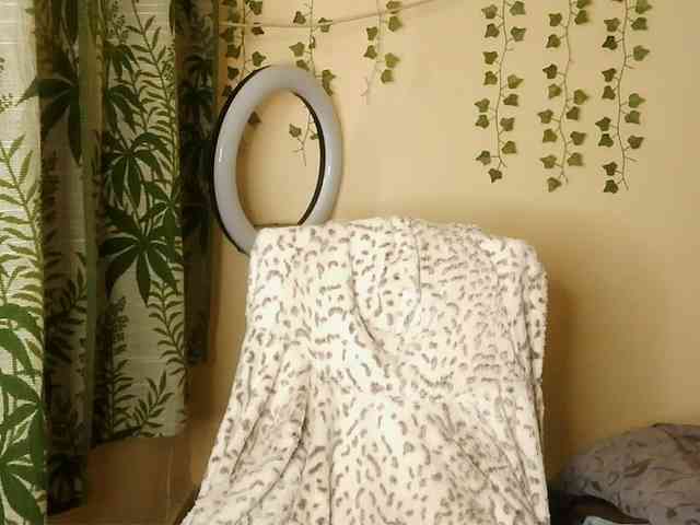-Mirage webcam