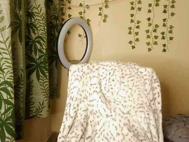 -Mirage webcam