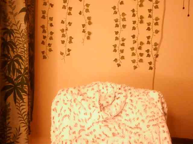 -Mirage webcam