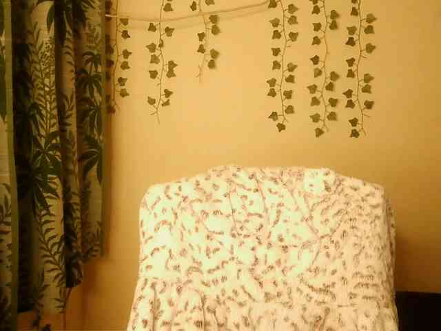 -Mirage webcam