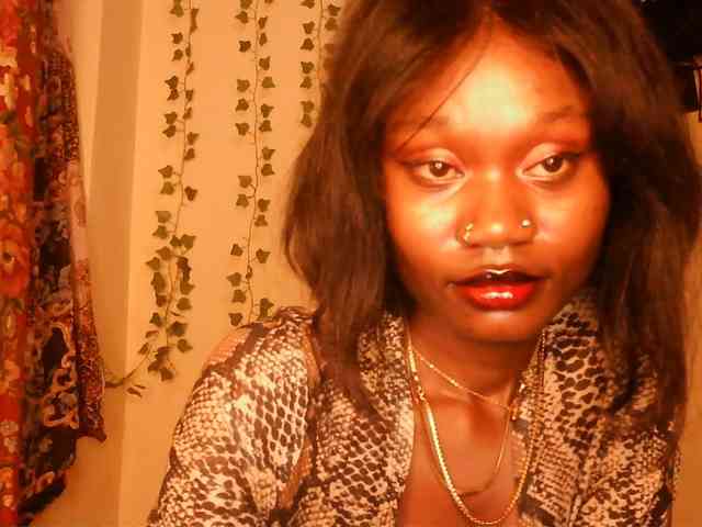 -Mirage webcam