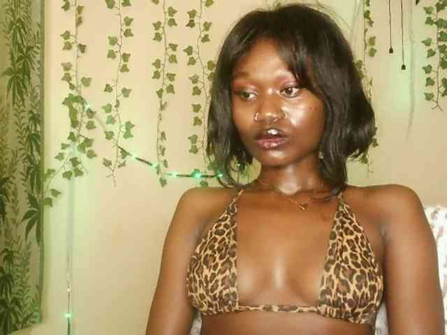 -Mirage webcam