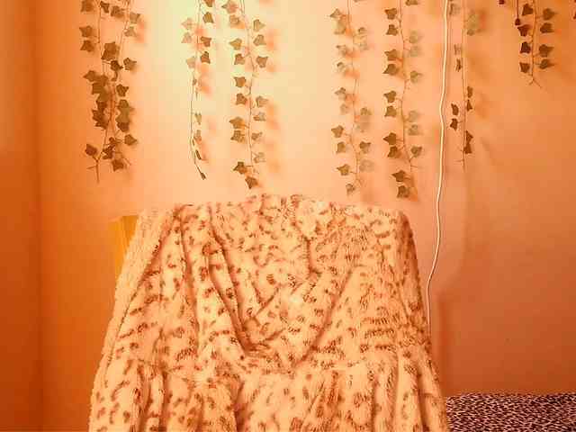 -Mirage webcam
