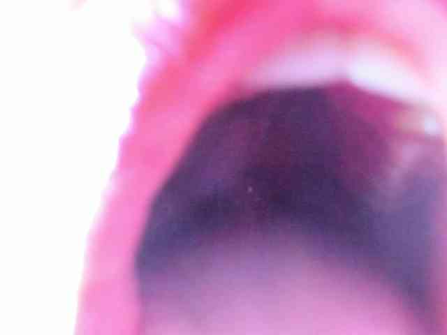 NaharaSoller webcam