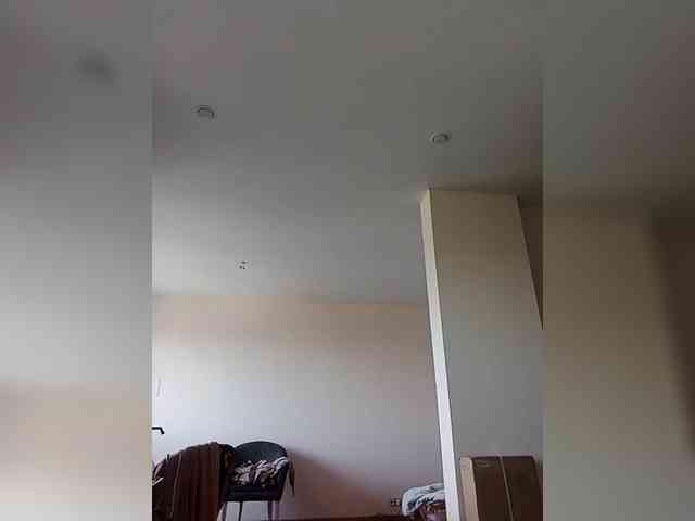 Silverrr32 webcam