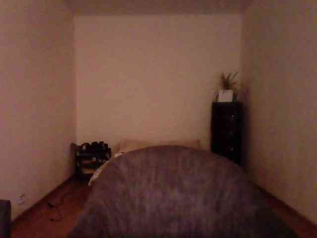 Silverrr32 webcam