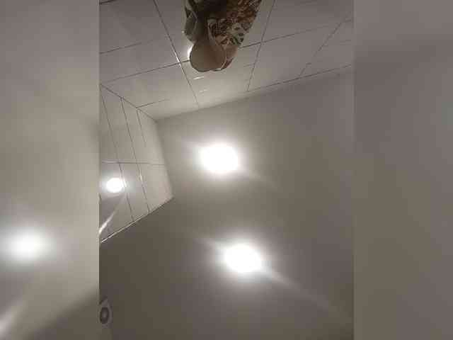 Silverrr32 webcam