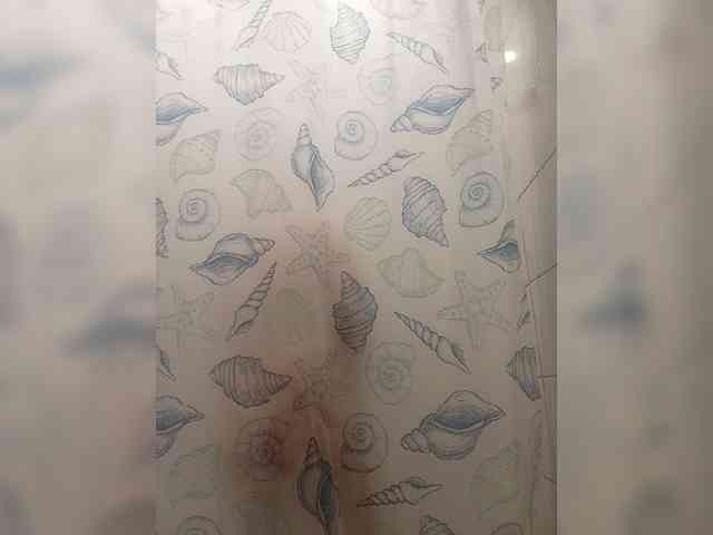 Silverrr32 webcam
