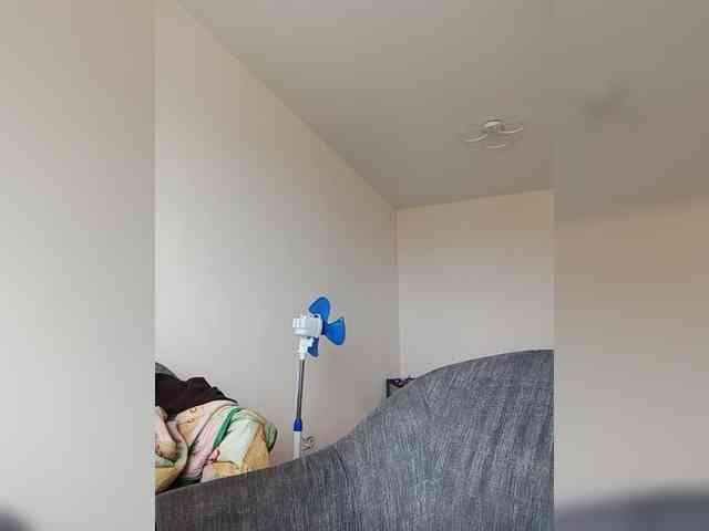 Silverrr32 webcam