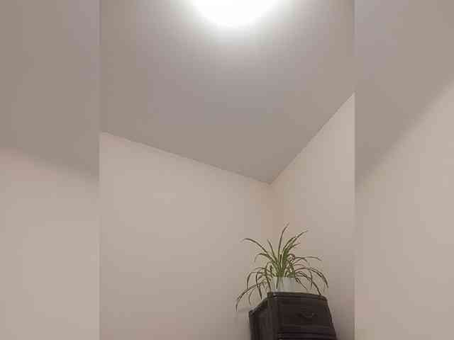 Siverrr webcam