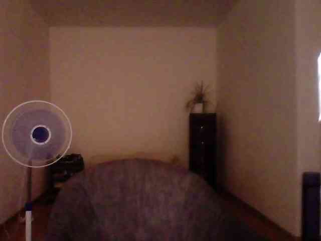 Siverrr webcam