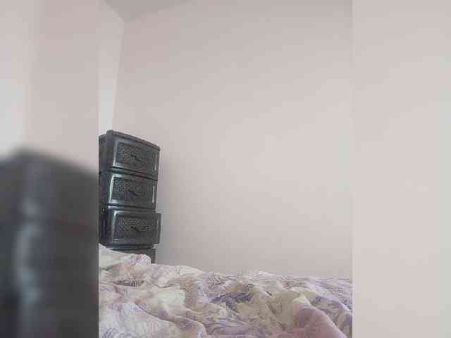 SilverHP webcam