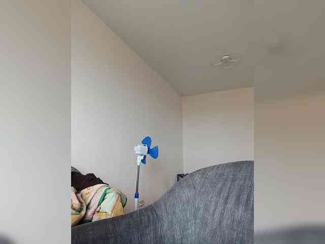 Silverrr32 webcam
