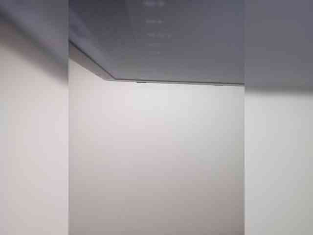 Siverrr webcam