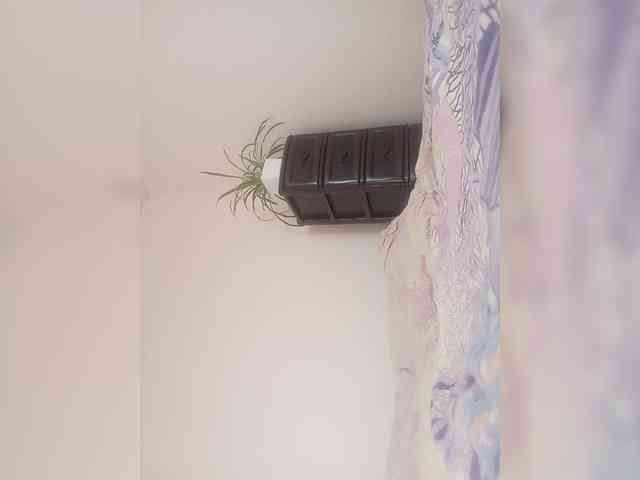 Siverrr webcam