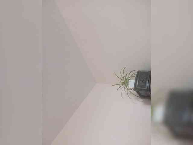 Siverrr webcam