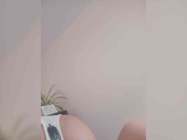 Silverrr32 webcam