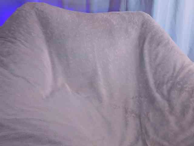 CandanceSilbert webcam