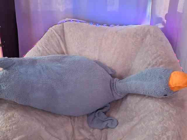 CandanceSilbert webcam