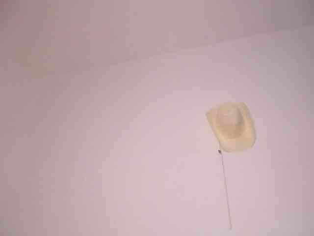 Susan-lopez webcam