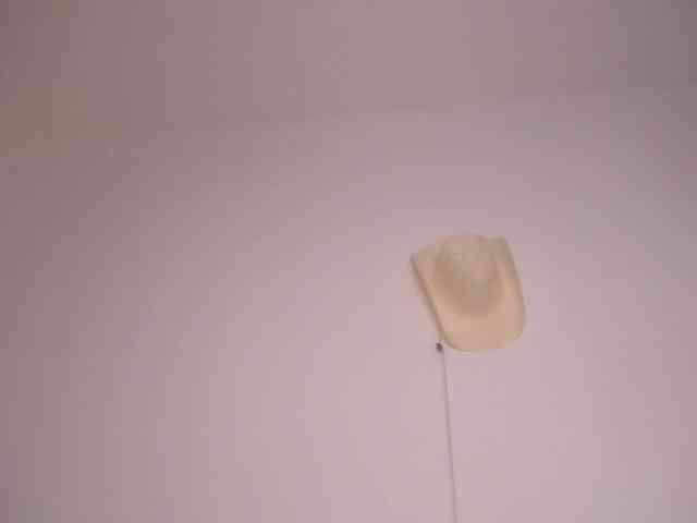 Susan-lopez webcam