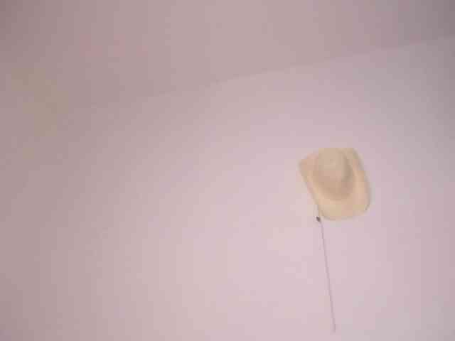 Susan-lopez webcam