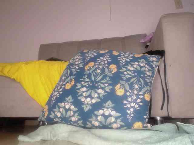 Susan-lopez webcam