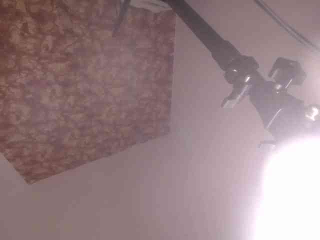 Susan-lopez webcam