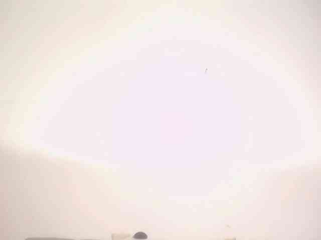 Susan-lopez webcam