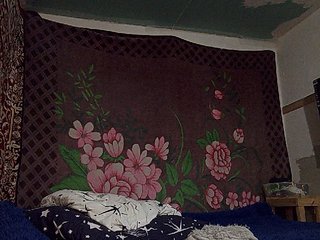 Private-LLIoy Porn Show