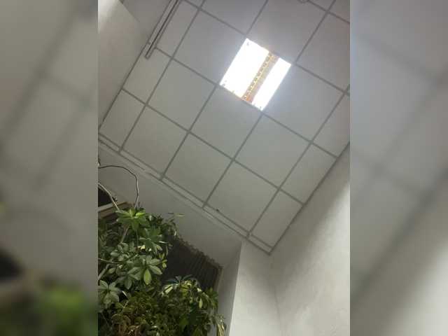 Sara6969 live cam on BongaCams
