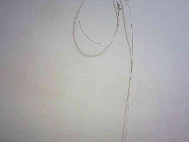 Ariannavee webcam