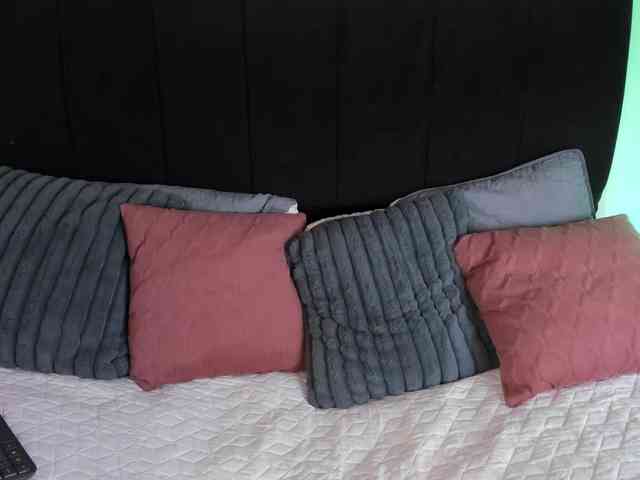 Lila-jonees webcam