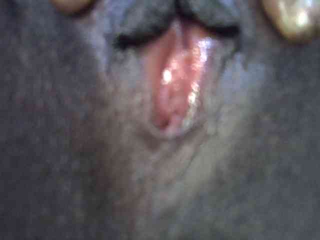 Comfort2a webcam