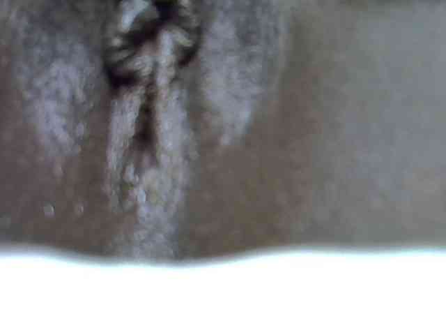 Comfort2a webcam