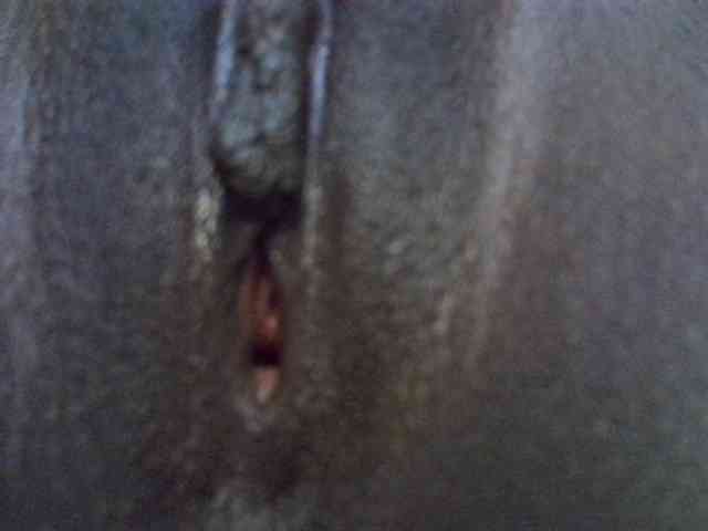 Comfort2a webcam