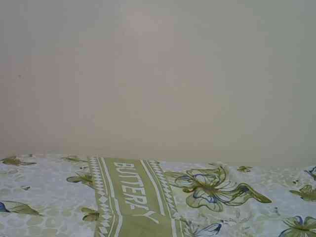 Comfort2a webcam